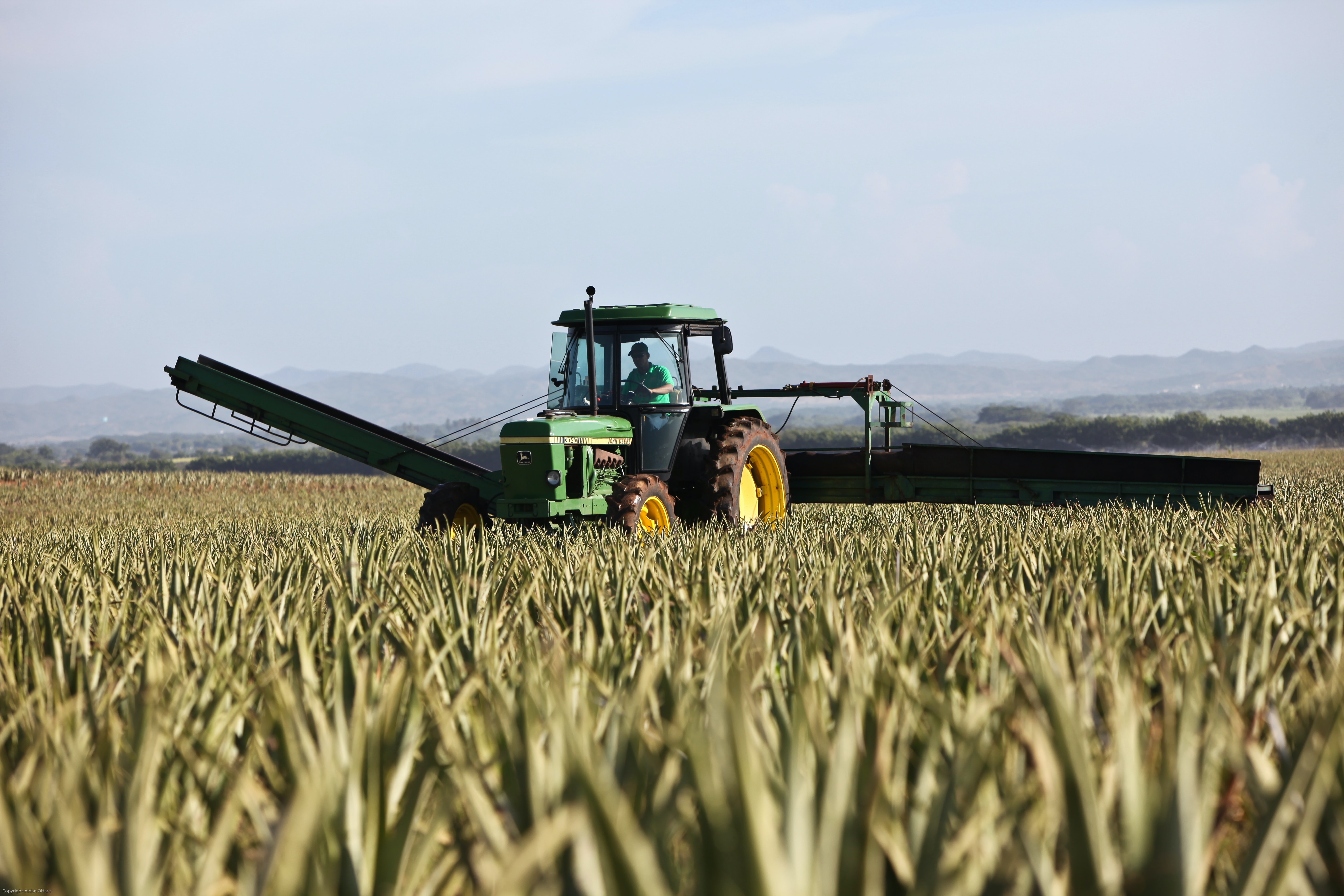 Tractor and Labor