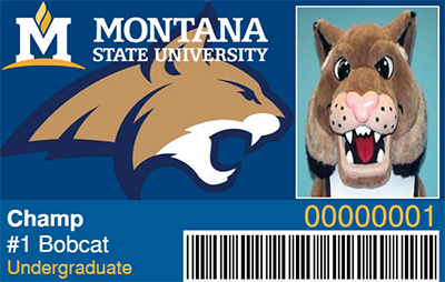 CatCard issued to #1 Bobcat Champ