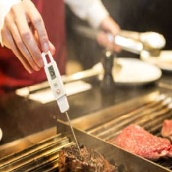 person checking the temperature of grilled food