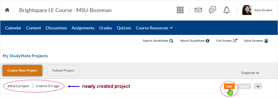 Brightspace_StudyMate screenshot 20.19.10 - project has been created - select "Edit" button to work on the project