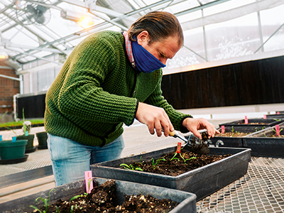 Roland Ebel - Biowaste Sustainable Foods Research - Education, Health and Human Development