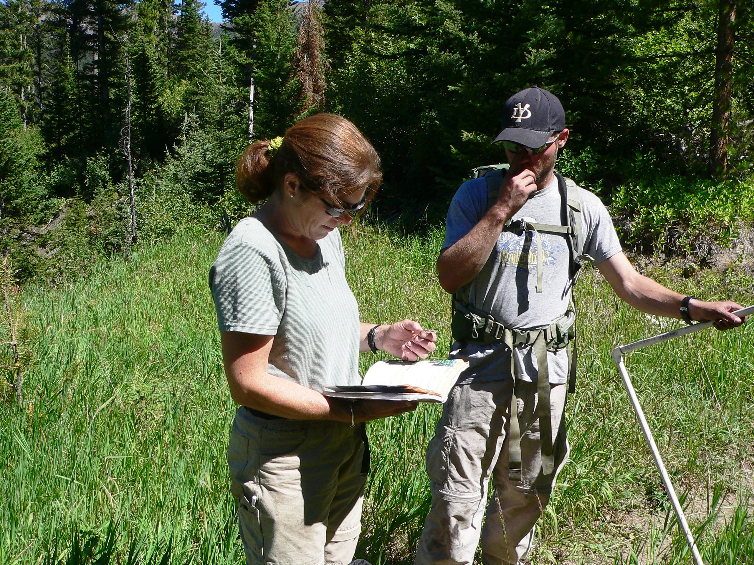 Biodiversity Sampling Methods