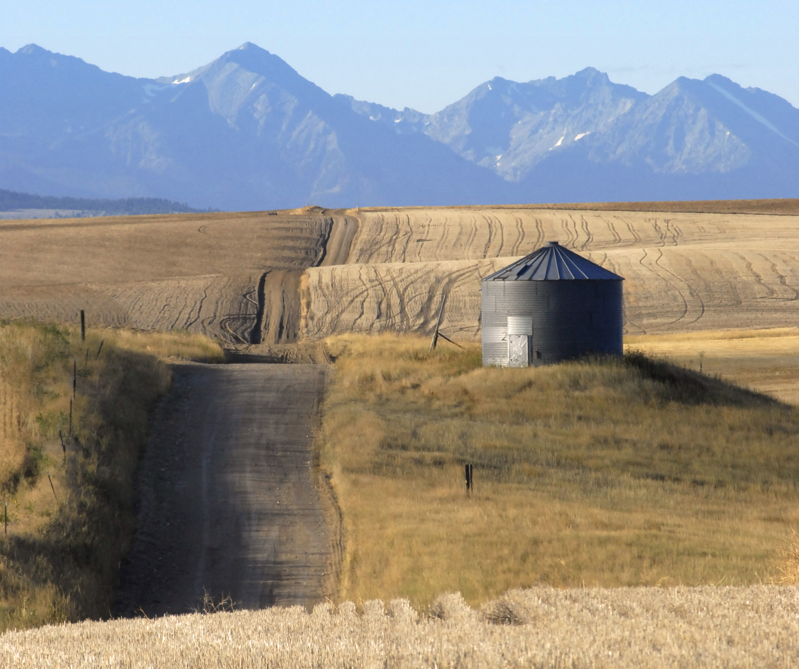 Field with Gravel Road