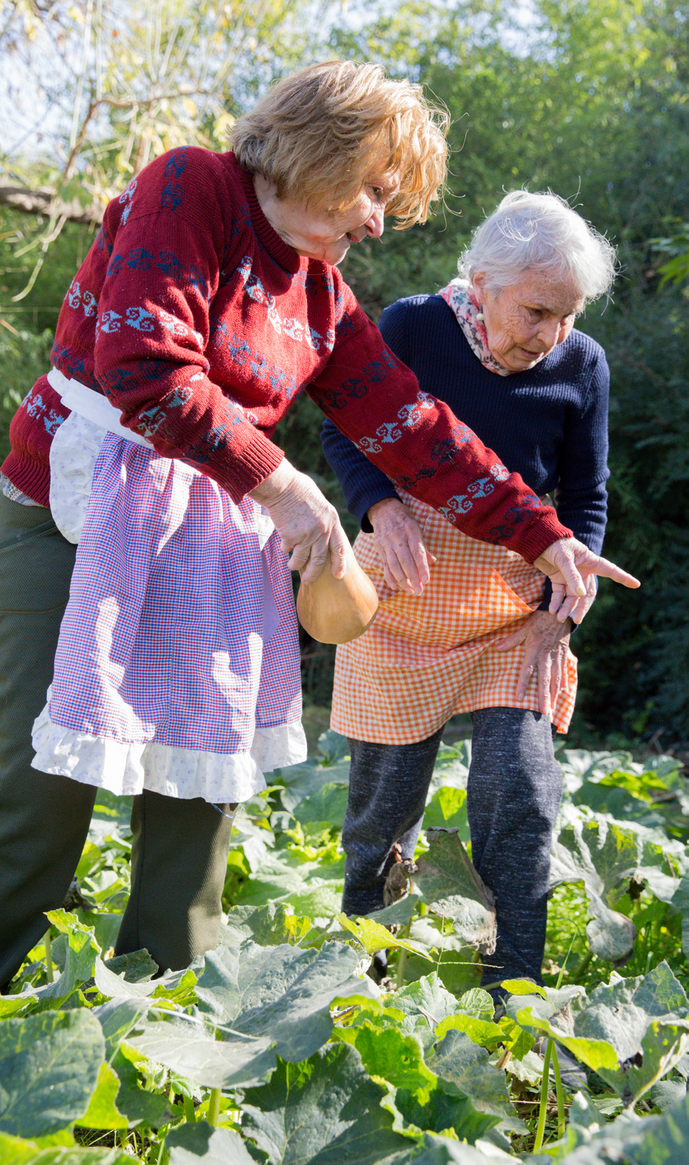 Women Gardening with Apron