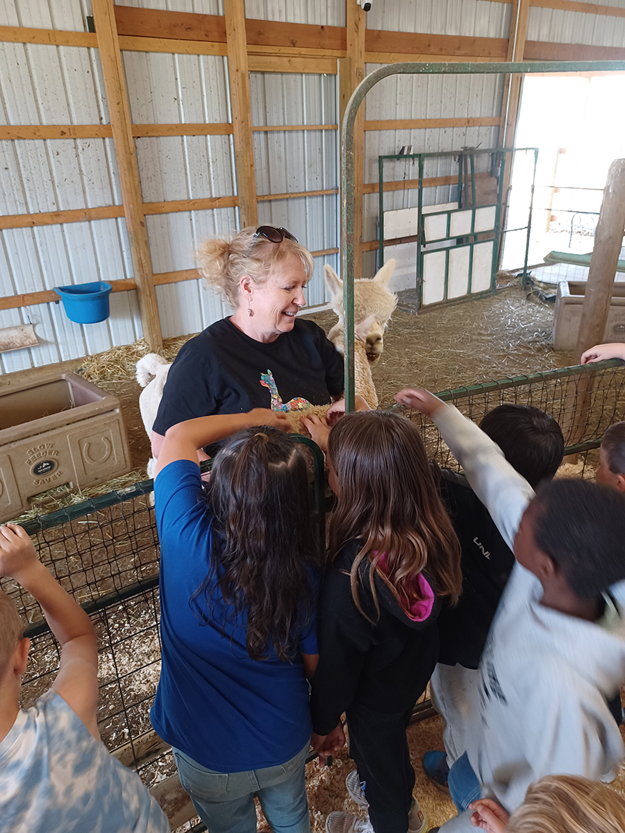 A woman holds an alpaca inside of a barn