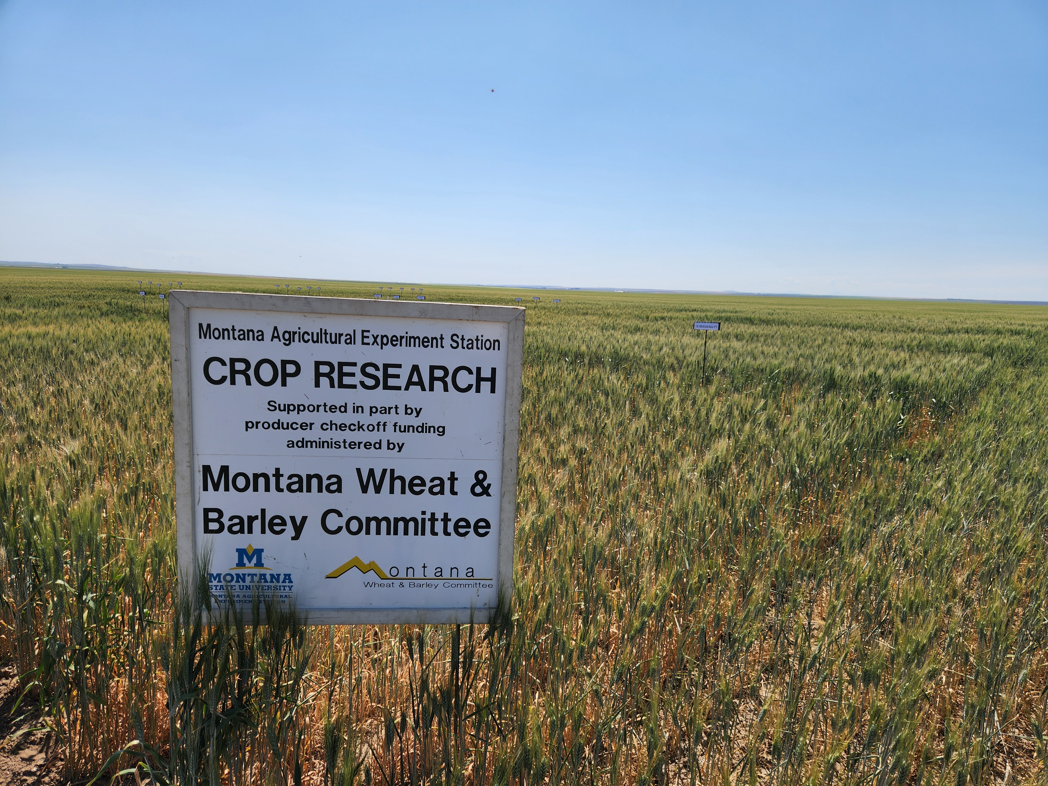 The Liberty County variety plot tours are a collaborative effort to bring research data to area growers.