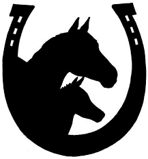 black horse head in horse shoe