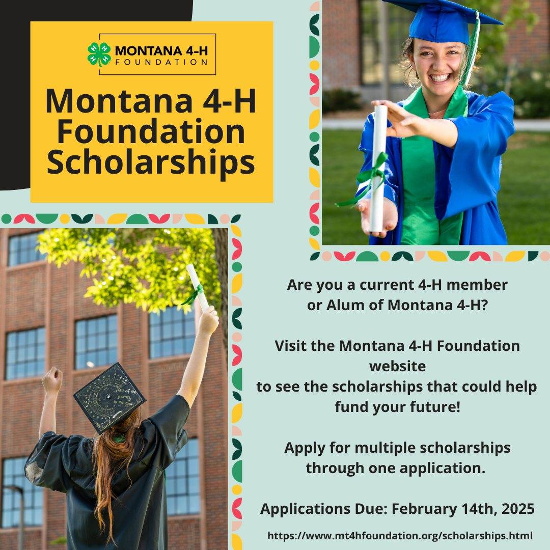 MT 4-H Foundation Scholarships Flyer