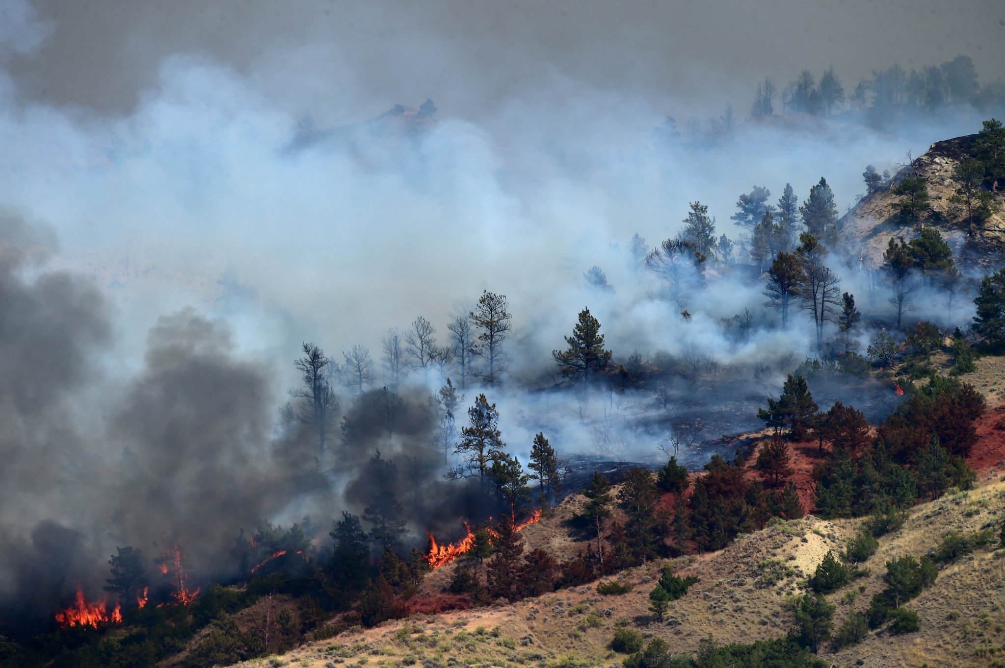 Montana Wildfire