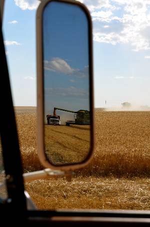 harvest in mirror