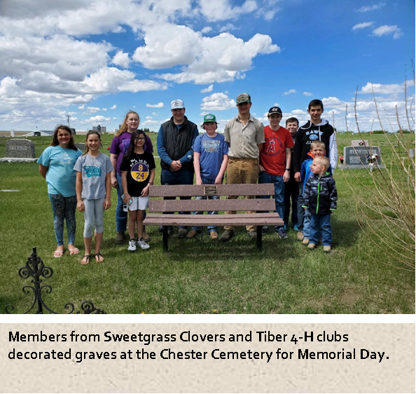 Sweetgrass Clovers and Tiber - Chester Cemetary