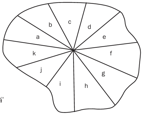 A line drawing of an irregular, round-ish shape with a central point and 11 radial lines stretching from the central point to different points along the edge, labeled a-k. 