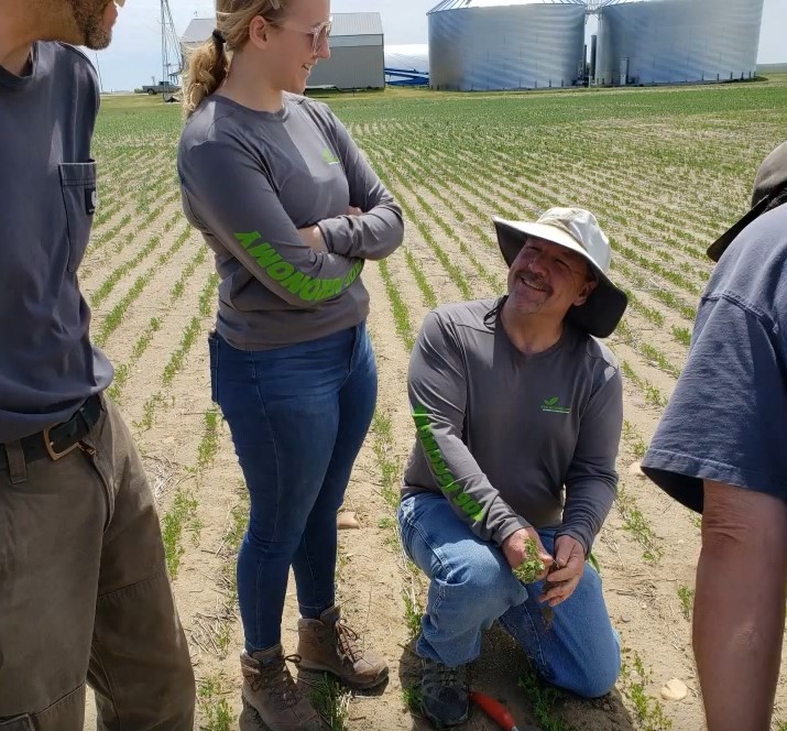 People standing and crouching in a row of crops