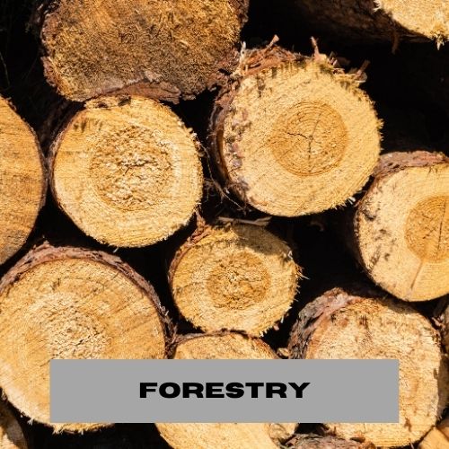 FORESTRY