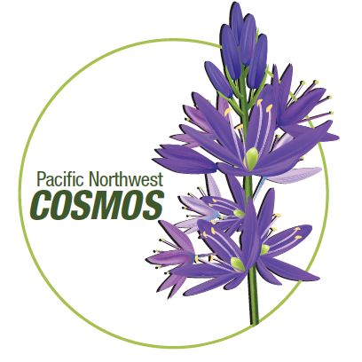 COSMOS logo