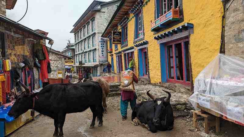 A photo from inside the Namche Bazaar village.