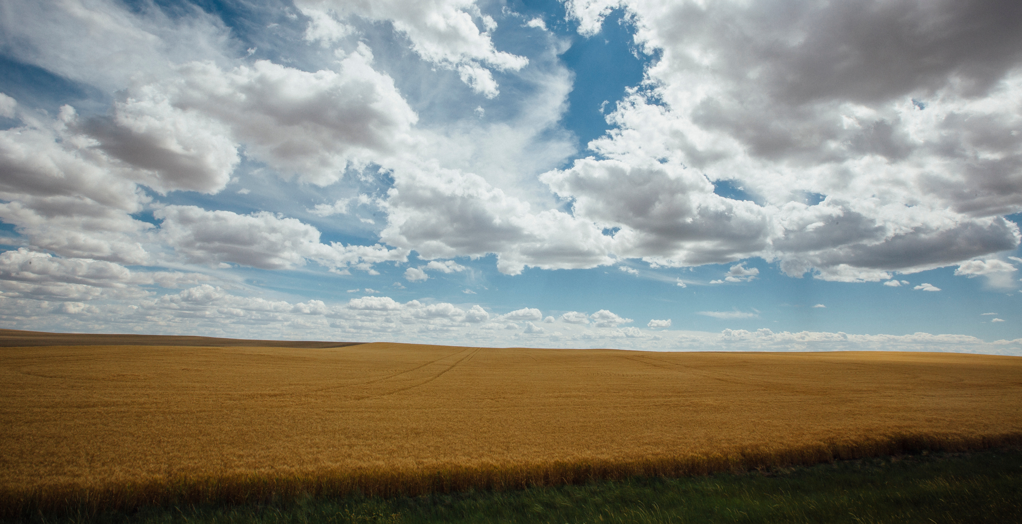 sky, clouds, field