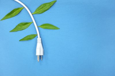 electric cord with plug and green leaves